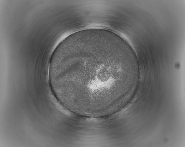 X0000089941227200707201856