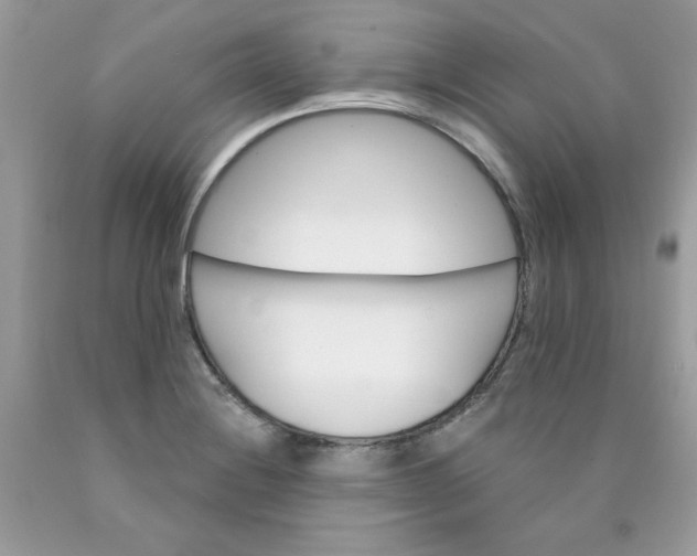 X0000089941228200707201856