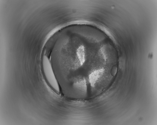 X0000089941229200707201856