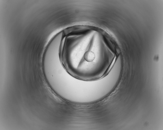 X0000089941230200707201856