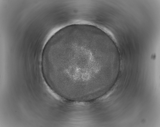 X0000089941231200707201856