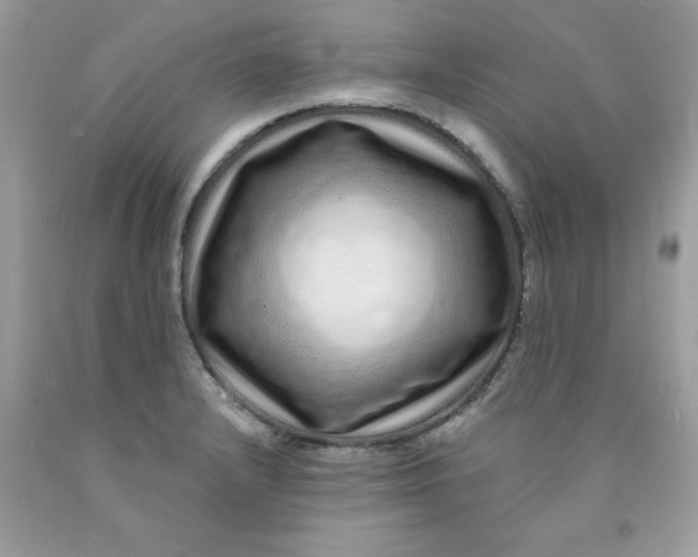 X0000089941232200707201856