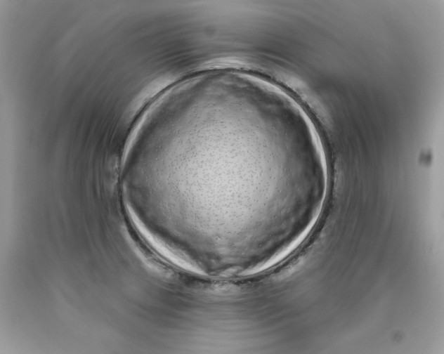 X0000089941233200707201856