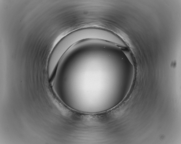 X0000089941234200707201856