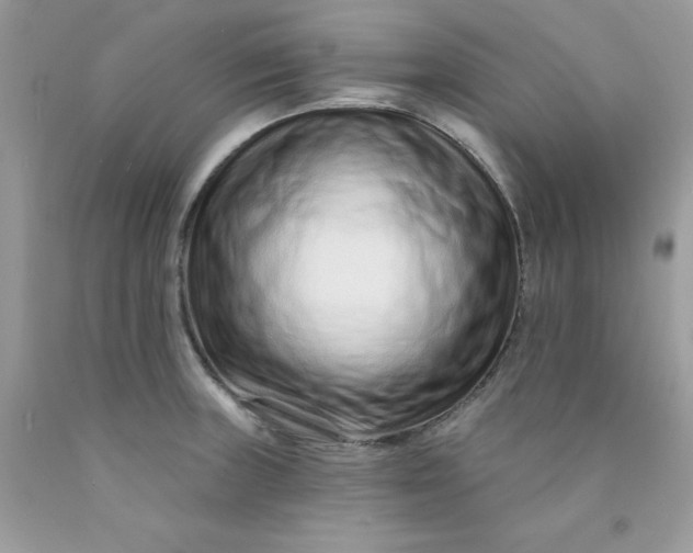 X0000089941235200707201856