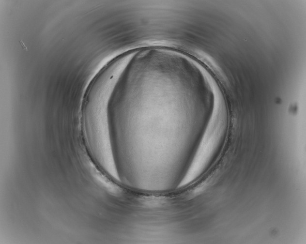 X0000089941236200707201856