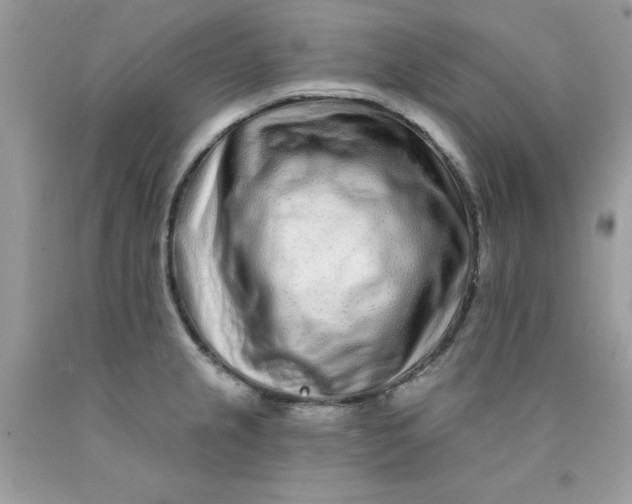 X0000089941237200707201856