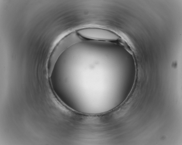 X0000089941238200707201856