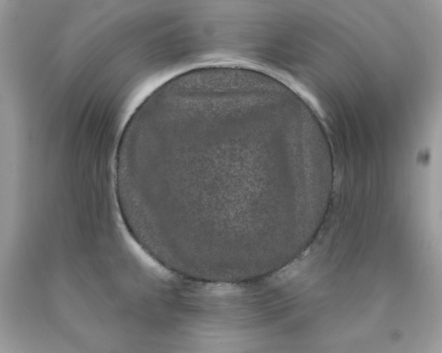 X0000089941239200707201856