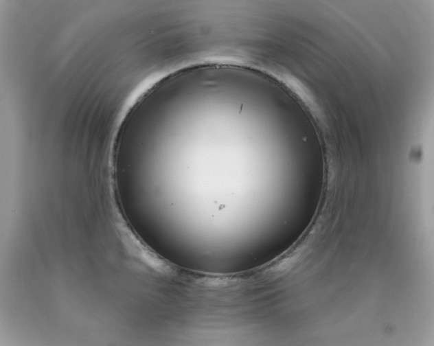 X0000089941240200707201856