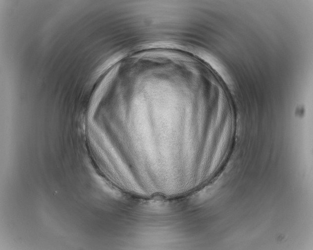 X0000089941241200707201856