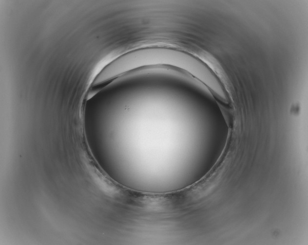 X0000089941242200707201856