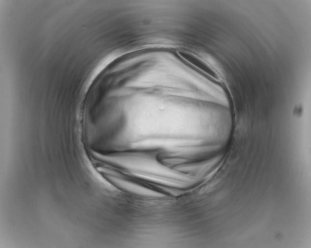 X0000089941243200707201856