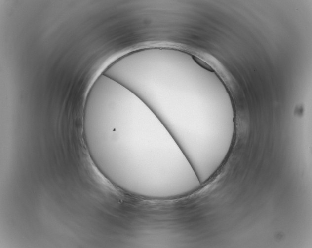 X0000089941244200707201856