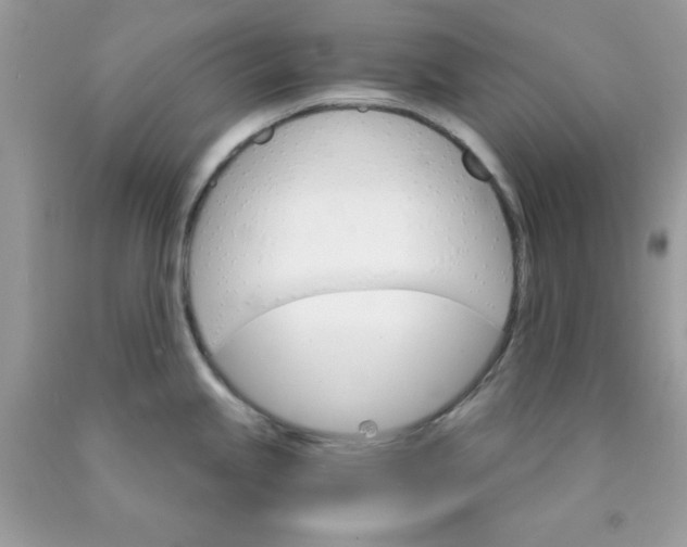 X0000089941245200707201856