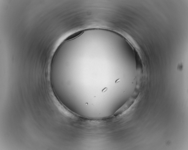 X0000089941246200707201856