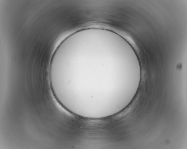 X0000089941247200707201856