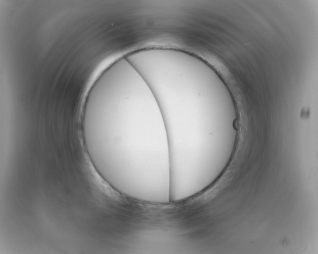 X0000089941248200707201856