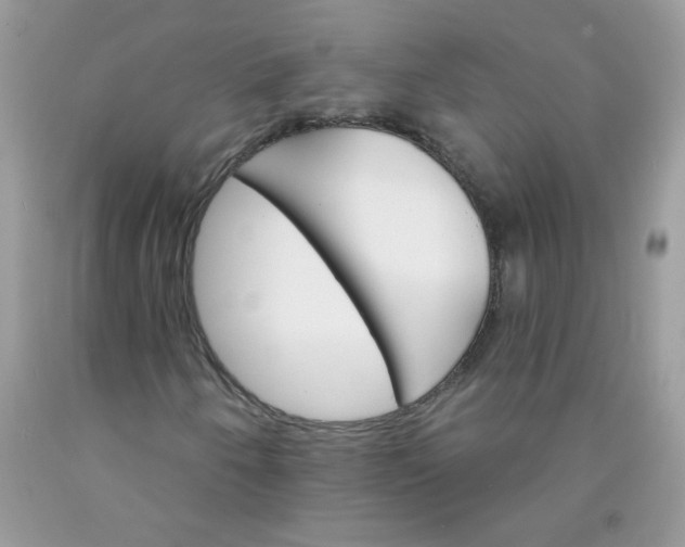 X0000089941250200707201855