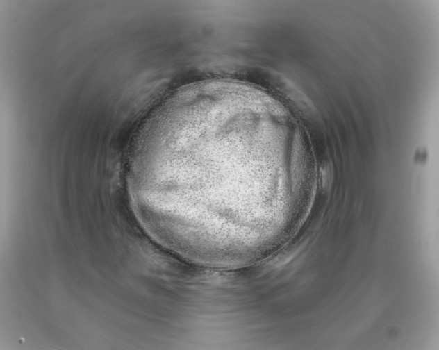 X0000089941251200707201855