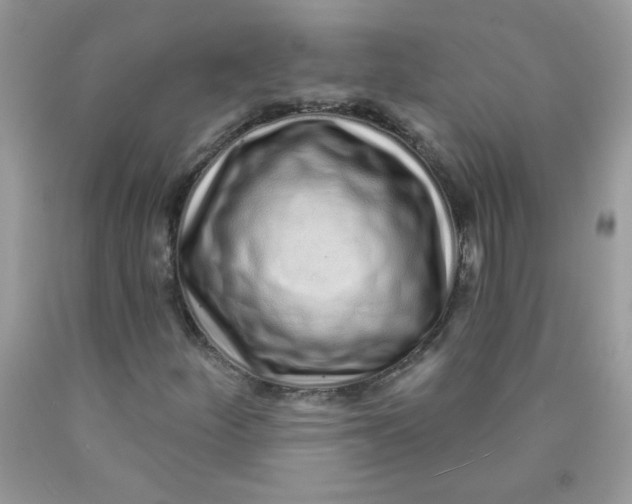 X0000089941252200707201855