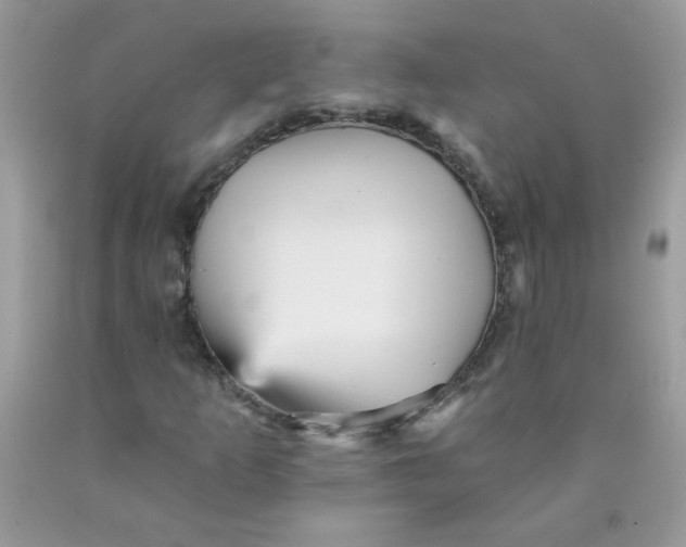 X0000089941253200707201855