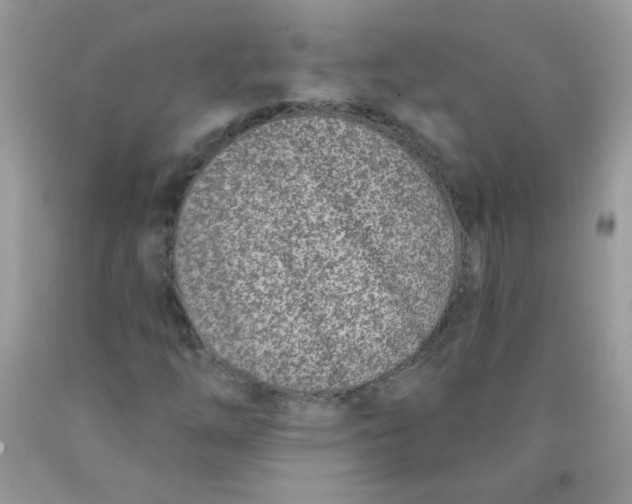 X0000089941254200707201855