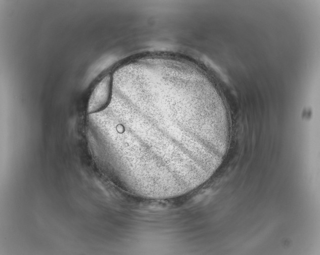 X0000089941255200707201855