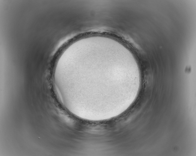 X0000089941256200707201855