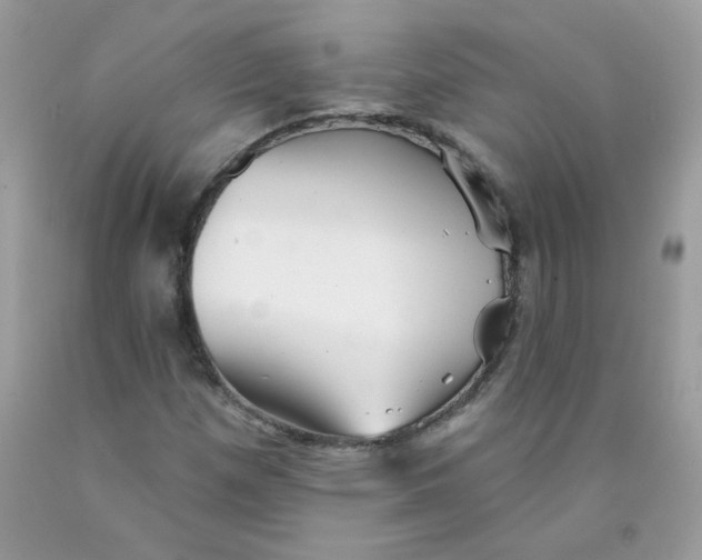 X0000089941257200707201855