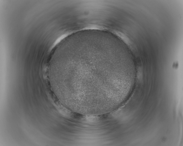 X0000089941258200707201855