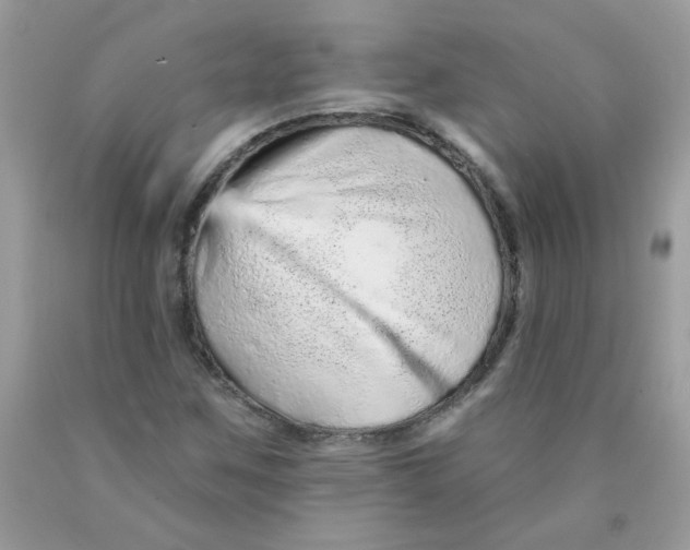 X0000089941259200707201855