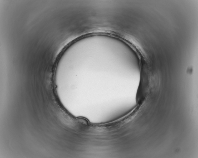 X0000089941260200707201855