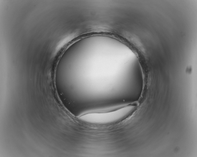 X0000089941261200707201855