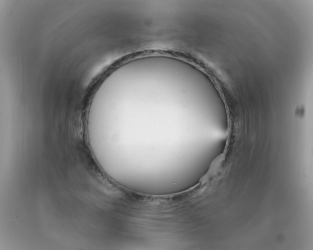 X0000089941262200707201855