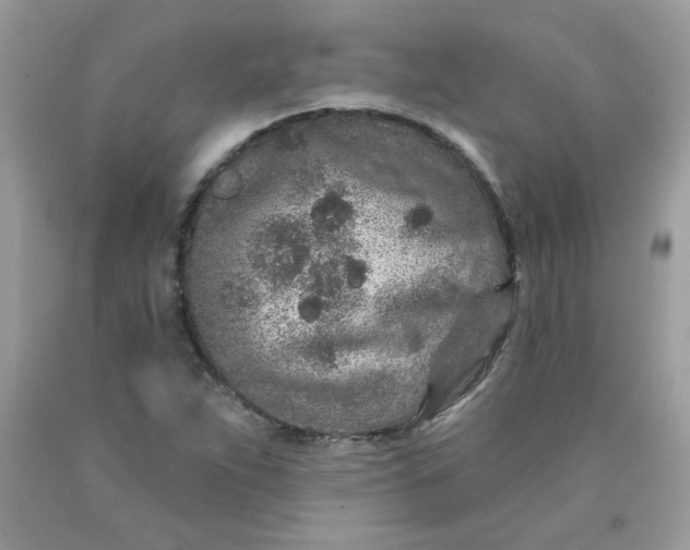 X0000089941263200707201855