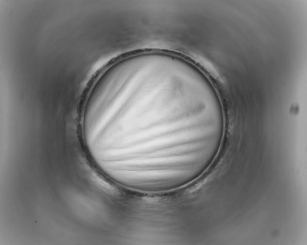 X0000089941264200707201855