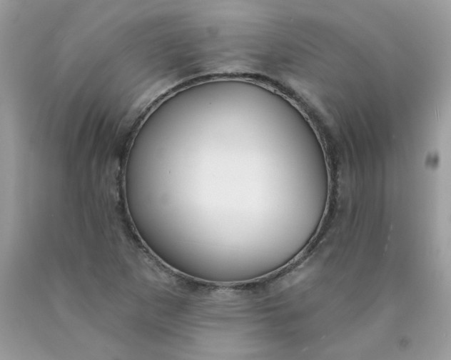 X0000089941265200707201855