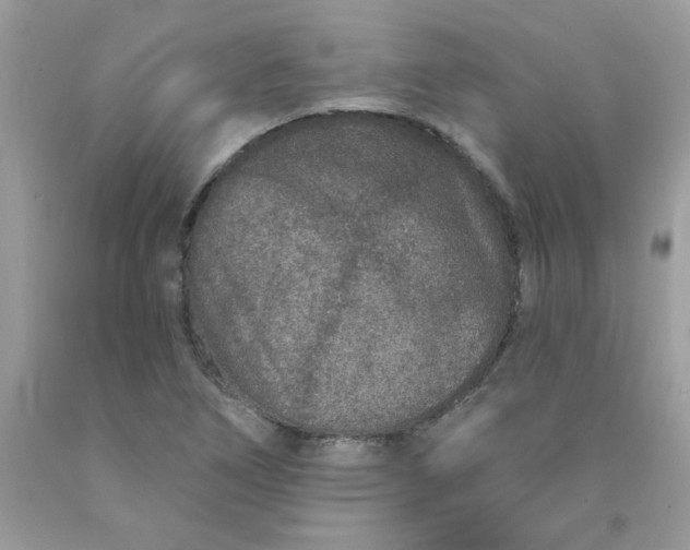 X0000089941266200707201855