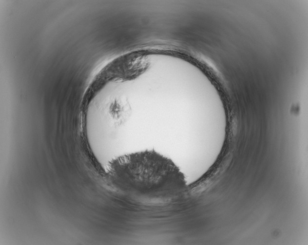 X0000089941267200707201855