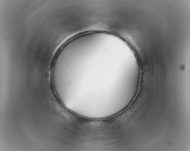 X0000089941268200707201855