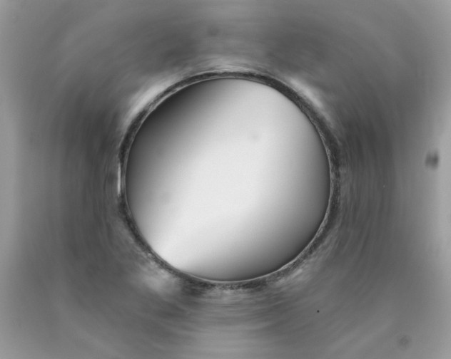 X0000089941269200707201855