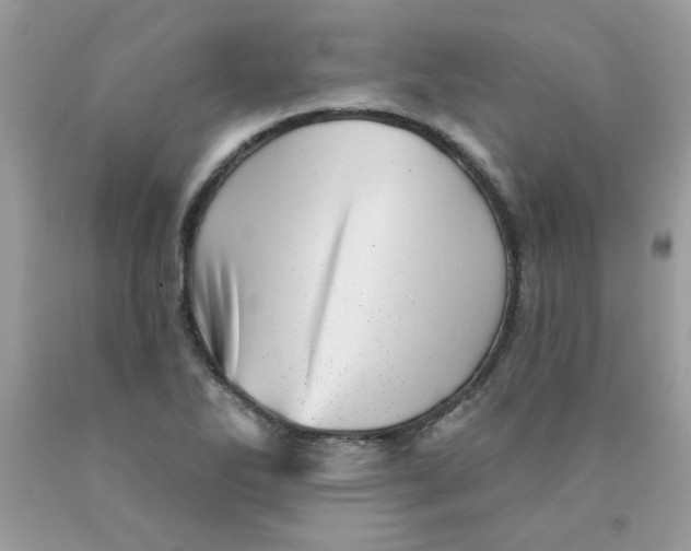 X0000089941270200707201855