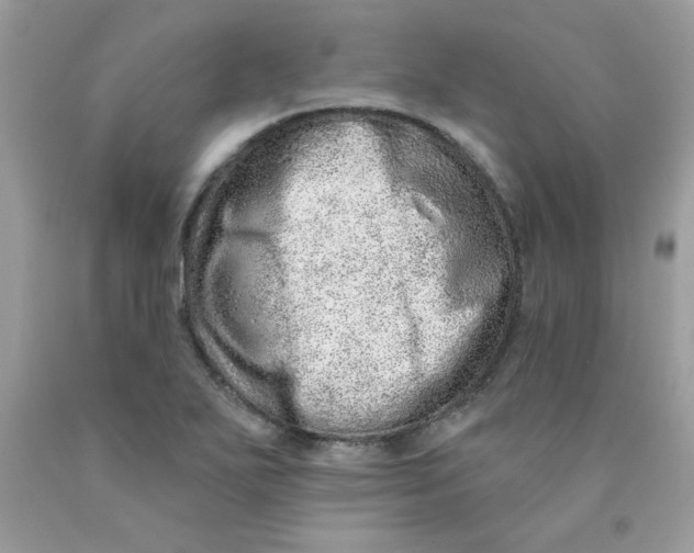 X0000089941271200707201855