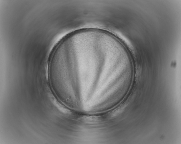 X0000089941272200707201855