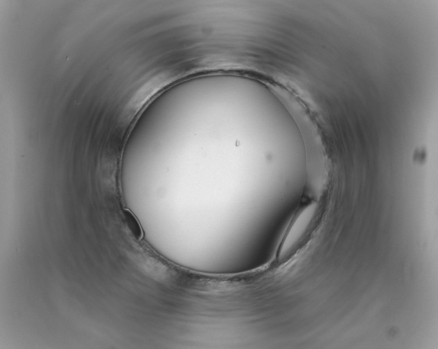 X0000089941273200707201855