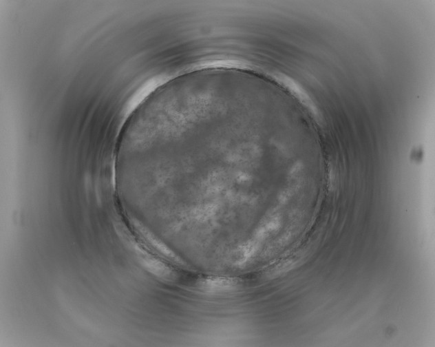 X0000089941274200707201855