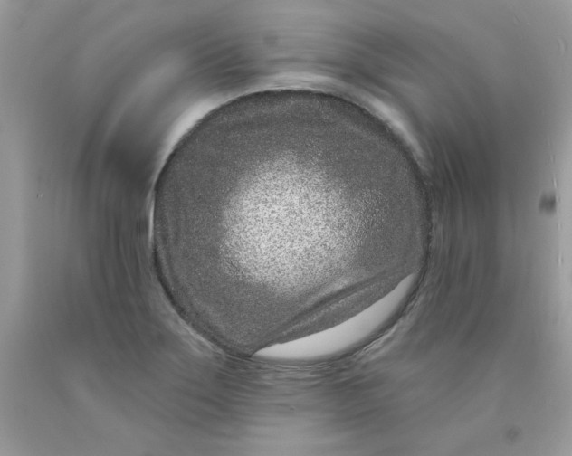 X0000089941275200707201855