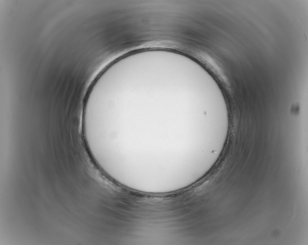 X0000089941276200707201855