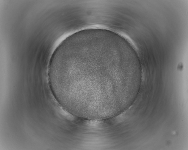 X0000089941278200707201855